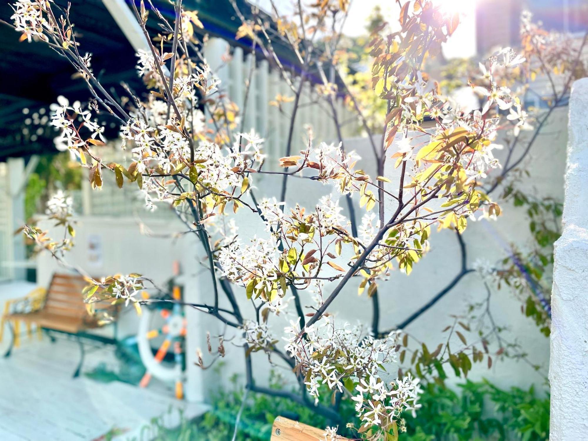 Shinsei Hotel Shakotan Екстериор снимка